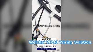 KBZE 1006889780 WEICHAI WP13 kable w wiązce silnika dla LGMG SANY XCMG TONLY wywrotka górnicza